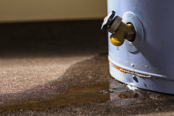 Best Water damage restoration near me  in Jordan, MN