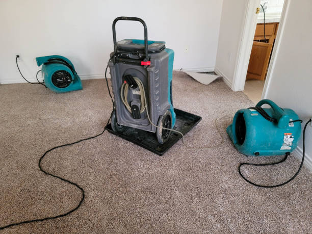 Best Water damage restoration specialists  in Jordan, MN