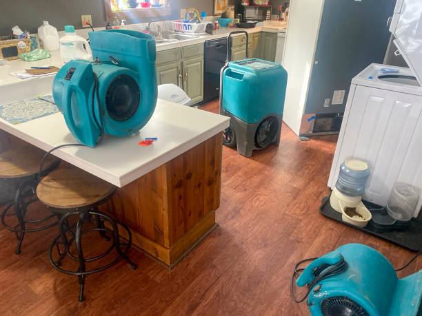 Best Mold removal after water damage  in Jordan, MN