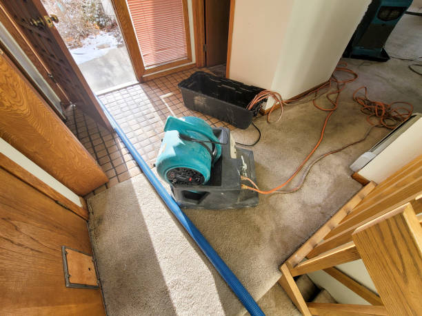 Best Flooded house restoration  in Jordan, MN