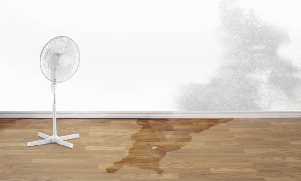 Best Water damage cleanup near me  in Jordan, MN