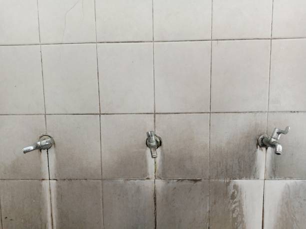 Best Sewage cleanup and water damage restoration  in Jordan, MN
